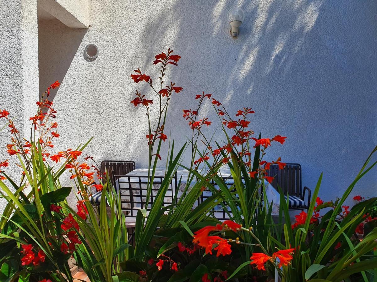 Apartments Kero New Value 2023 Fully Ac Poreč Eksteriør billede